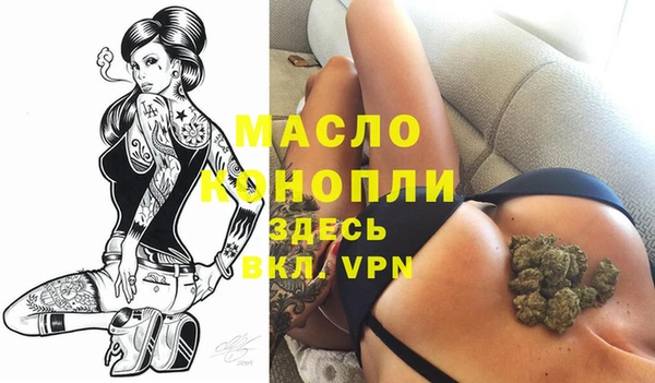 индика Пересвет