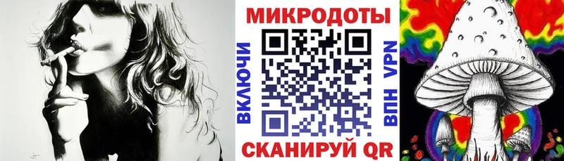 shop как зайти  Старая Купавна  Псилоцибиновые грибы Psilocybine cubensis 